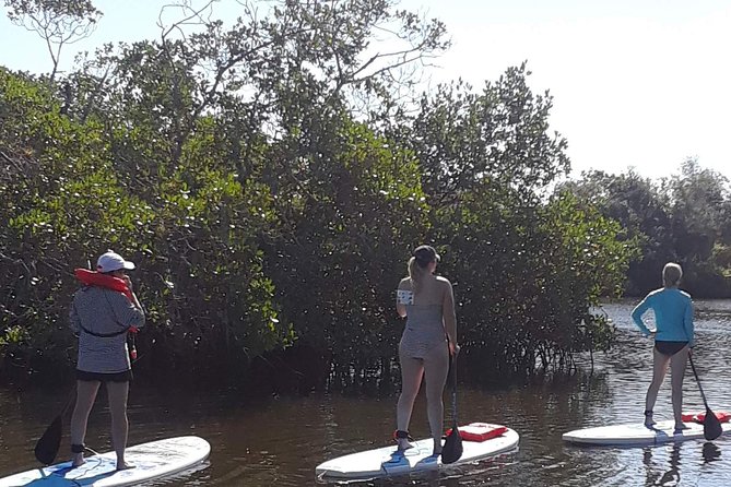 Naples Fl, Paddleboard Mangrove Forest Tour - How the Tour Compares to Similar Experiences