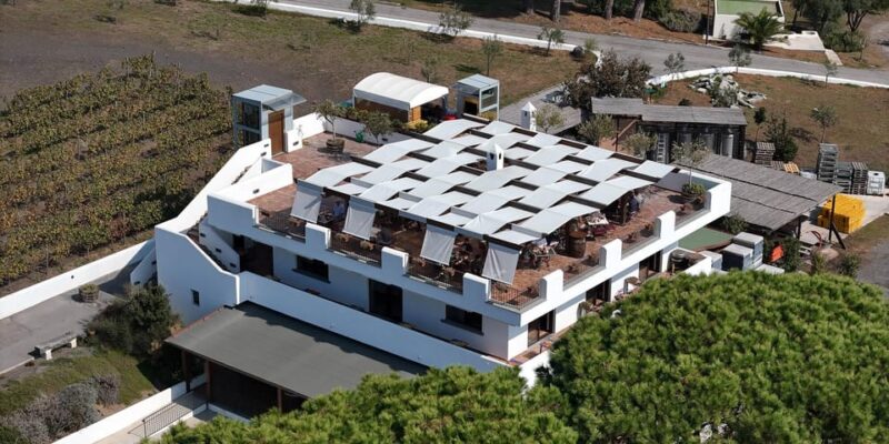 Naples: Guided Walking Tour with Lunch and Wine Tasting - Practical Details and Group Experience