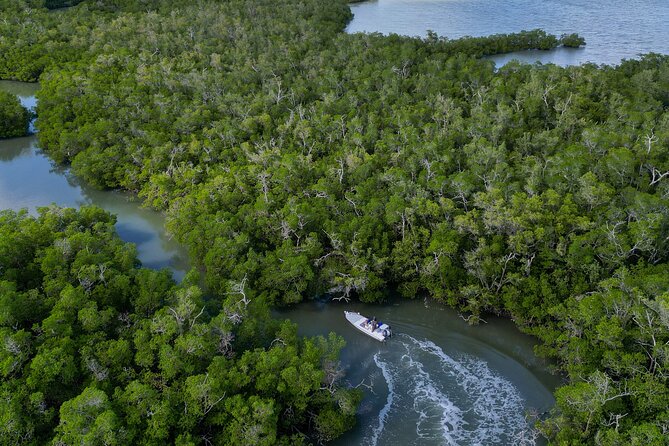 Naples Half-Day Fly Fishing Activity - Expert Guidance from a Skilled Fly-Fishing Guide