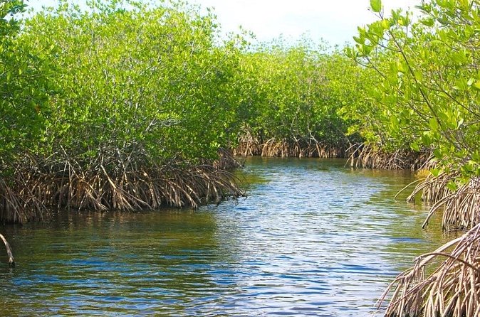 Naples Half-Day Fly Fishing Activity - Why This Fly-Fishing Experience Stands Out