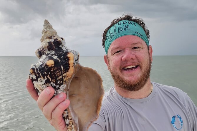 Naples Keewaydin Shelling Dolphin and Beach Tours - Key Points