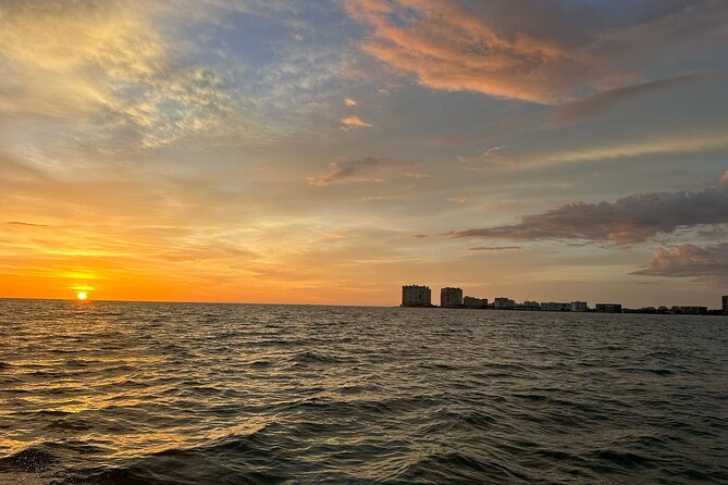 Naples Keewaydin Shelling Dolphin and Beach Tours - Meet the Guides: Knowledgeable & Personable