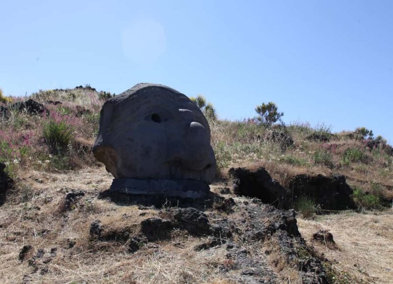 Naples: Mount Vesuvius Entry Ticket and Transfer - Suitability and Considerations