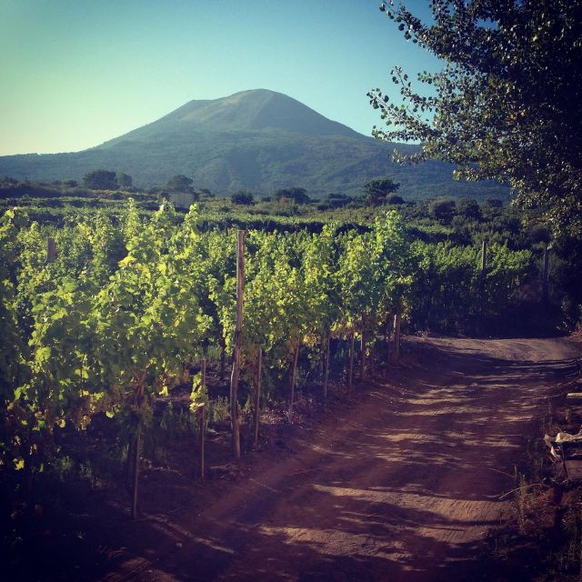Naples: Mount Vesuvius Vineyard Tour w/ Lunch & Wine Tasting - Final Thoughts on the Mount Vesuvius Vineyard Tour