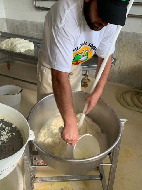 Naples: Mozzarella Experience, Taste of Southern Italy - Key Points