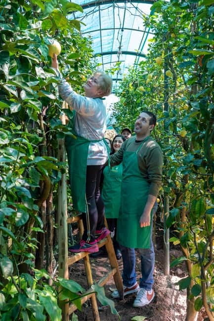 Naples: Mozzarella Experience, Taste of Southern Italy - Logistics and Accessibility Details