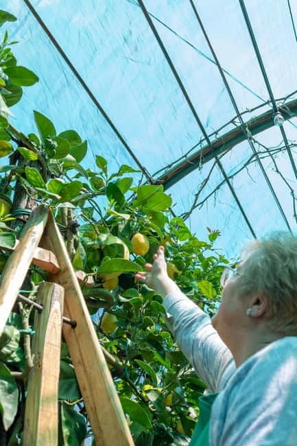 Naples: Mozzarella Experience, Taste of Southern Italy - Who Will Enjoy This Tour Most?