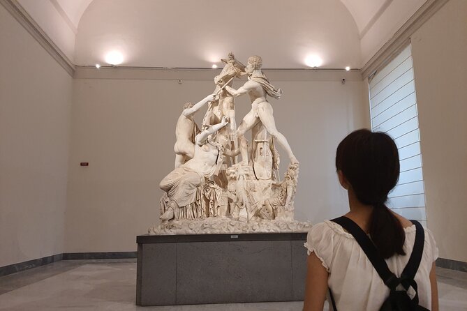 Naples National Archaeological Museum and historical centre private tour - Key Points