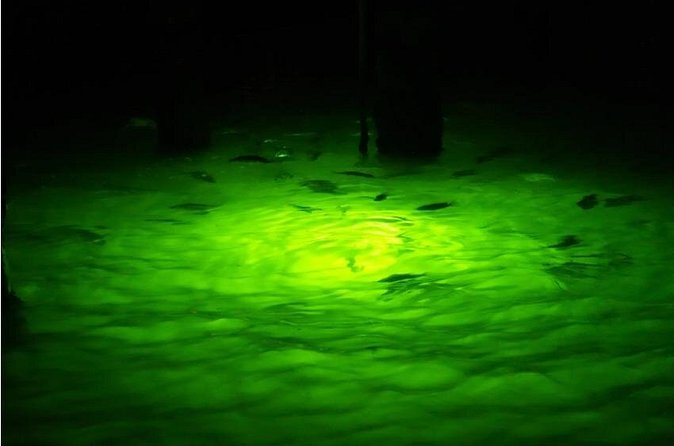 Naples Night Fishing Trips - Flexibility with Cancellations