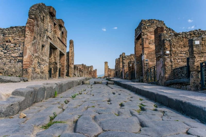 Naples or Sorrento: Full-Day Pompeii and Mount Vesuvius Tour - Who Will Enjoy This Tour Most