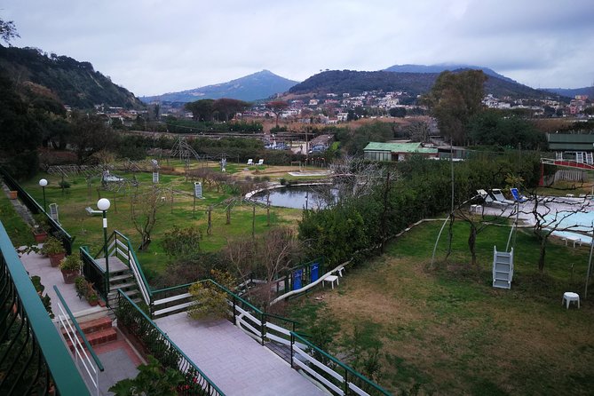 Naples, panoramic city tour and SPA thermal baths. - Accessibility and Suitability