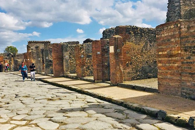 Naples & Pompeii Day Tour from Rome: Pompeii Ticket & City Visit - Potential Drawbacks and Considerations