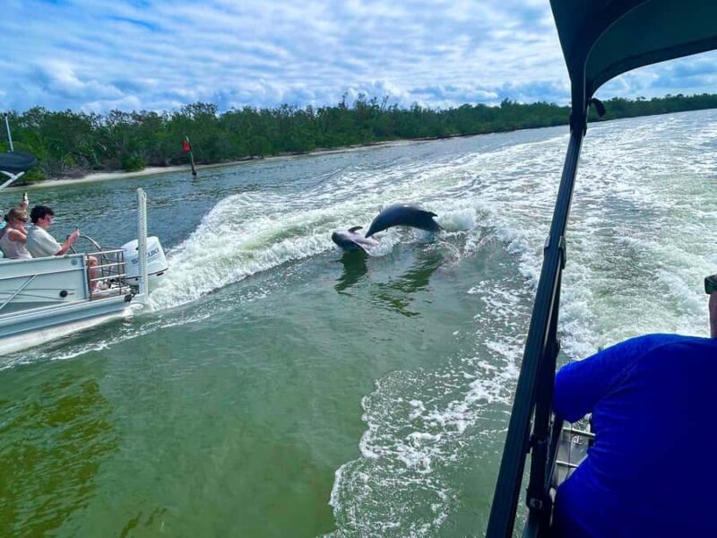 Naples-Port Royal Breakfast Private Cruise with Dolphin tour - Why This Tour Is a Great Choice for Wildlife and Sunrise Lovers
