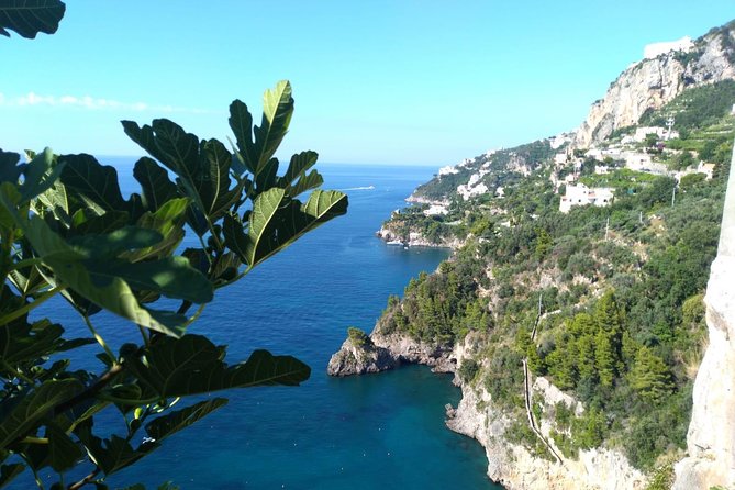 Naples port tour Sorrento and pompeii and overview of positano - Duration and Physical Considerations