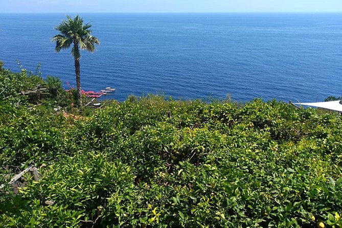 Naples port tour Sorrento and pompeii and overview of positano - Value and Additional Costs