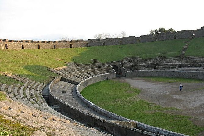 Naples Shore Excursion Mt Vesuvius and Pompeii Day Trip - Return Journey and Guarantee for Timely Return