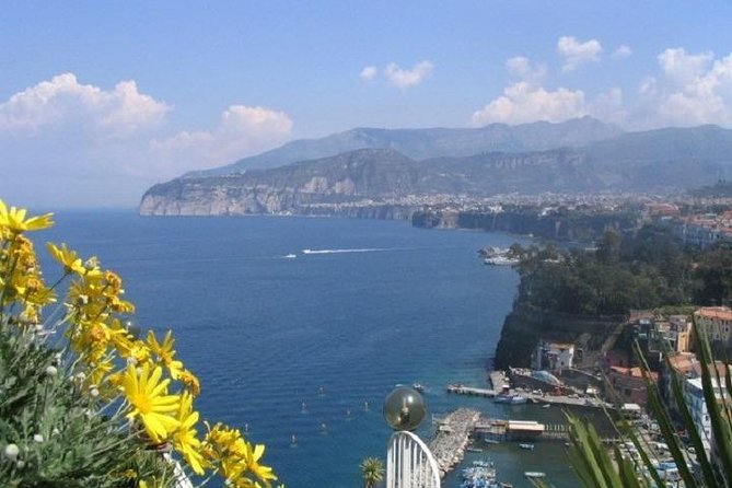 Naples Shore Excursion: Pompeii and Sorrento Day Trip - Key Points