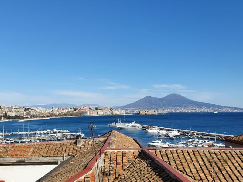 Naples Sightseeing Tour for Small Groups - The Stunning Terraces of Posillipo for Panoramic Views