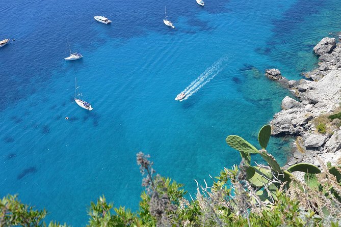 Naples to Capri Private Boat Excursion - Key Points