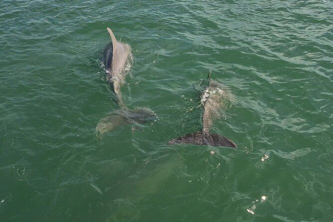 NAPLES TO KEEWAYDIN: your luxury water shuttle with all amenities - All-Inclusive Beach Amenities and Supplies