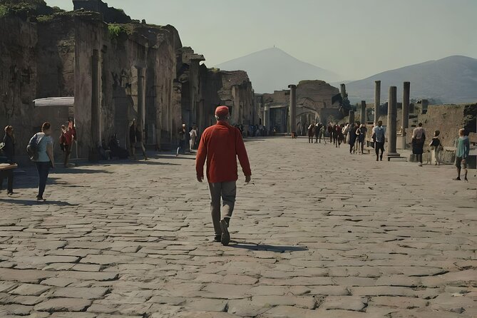 Naples to Pompeii direct transfer (or viceversa) - Flexible Booking and Cancellation Policies