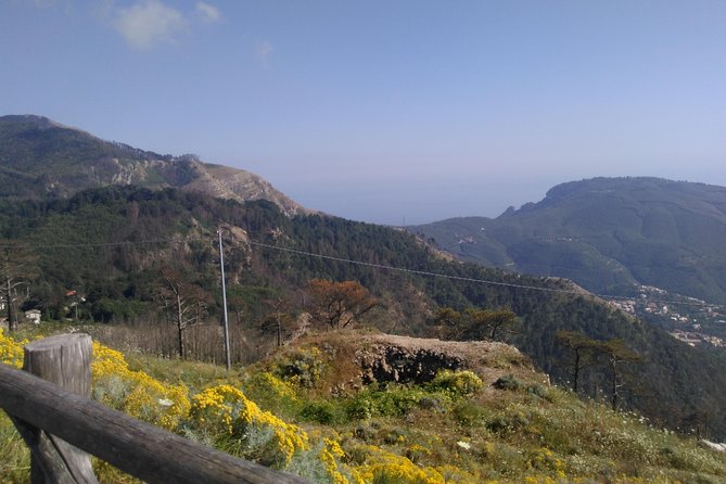 Naples Tour - The Tranquility of Santa Chiara’s Cloister