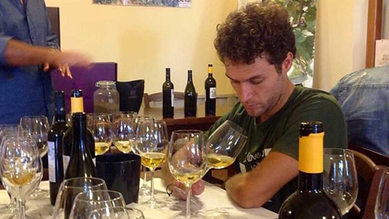 Naples: winery tour & wine tasting on Astroni crater - Walking Through the Vineyards With an Expert Guide