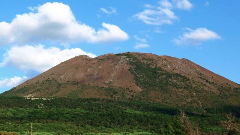 Naples: winery tour & wine tasting on Astroni crater - Tasting Three Authentic Campi Flegrei Wines