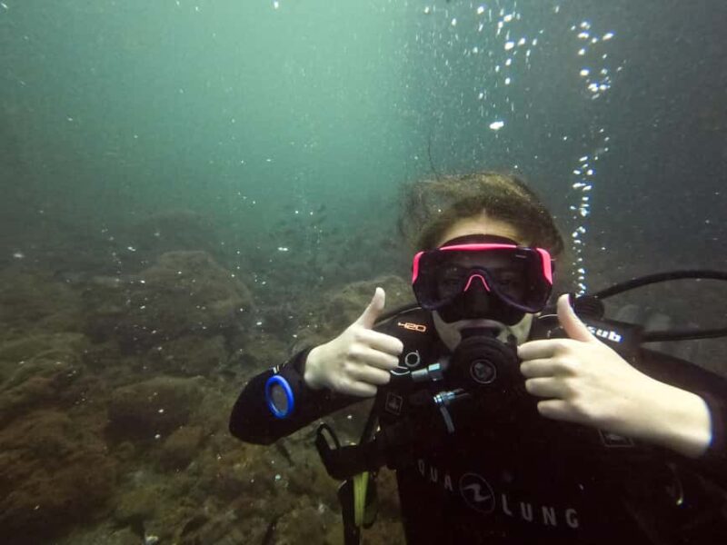 Napoli: Dive or Discover Scuba Diving in the Park of Baia - The Dive and Underwater Route in Baia