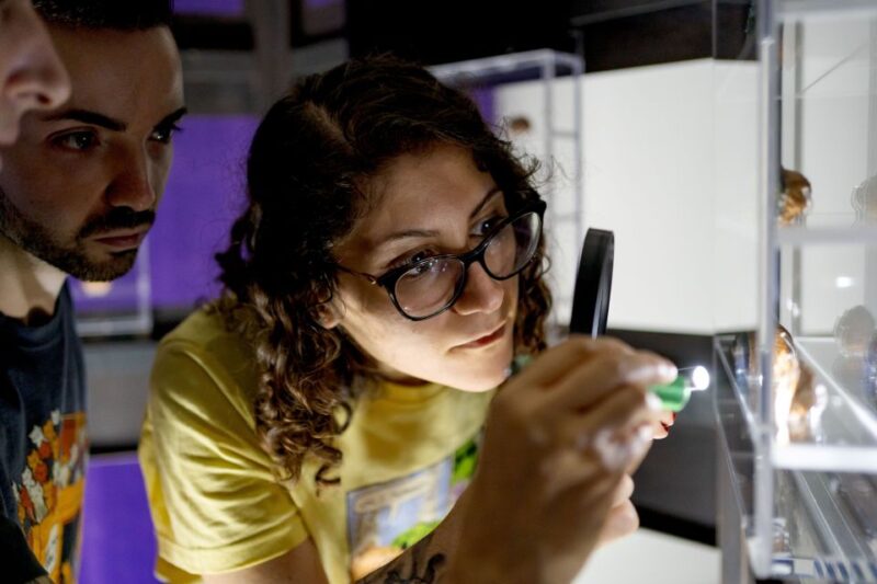 Napoli: Museodivino Entrance Ticket and Guided Tour - The Use of Flashlight and Magnifying Glass for Detail