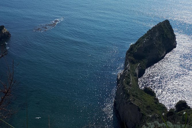 Napoli Sight Eating Walk: Food and Sight Tour - Key Points