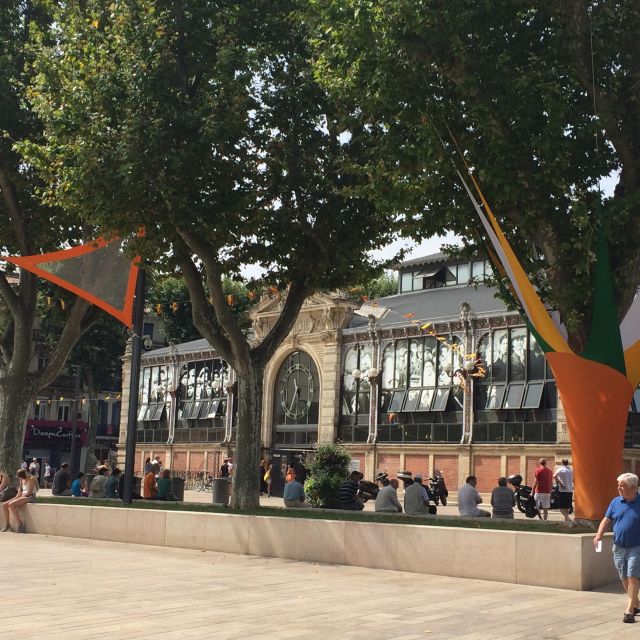 Narbonne, Gruissan & Lagrasse village . Day tour - Practicalities and Included Services