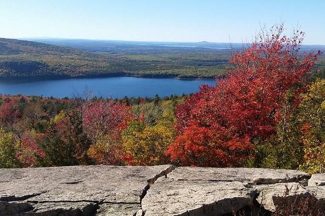 Narrated Bus Tour of Bar Harbor and Acadia National Park - Practical Aspects and Logistics