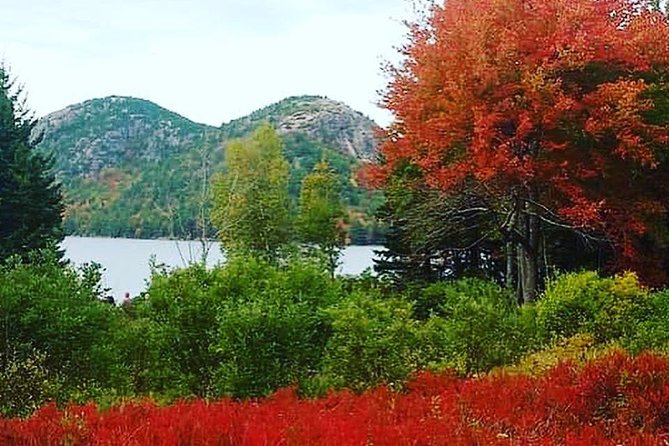 Narrated Bus Tour of Bar Harbor and Acadia National Park - Timing and Pacing of the Tour