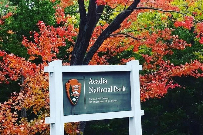 Narrated Bus Tour of Bar Harbor and Acadia National Park - Accessibility and Group Size