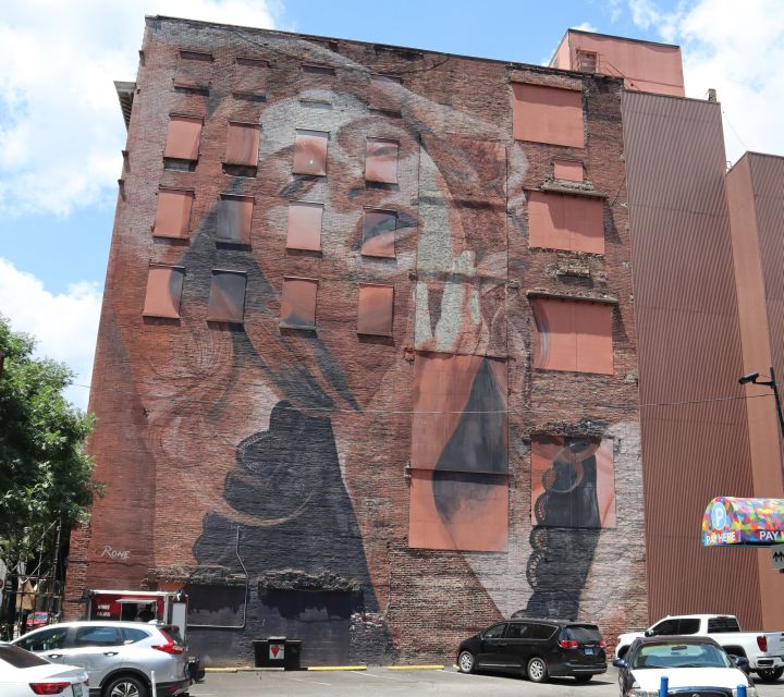 Nashville: Downtown Walking Tour - Tour Logistics, Accessibility, and Practical Tips