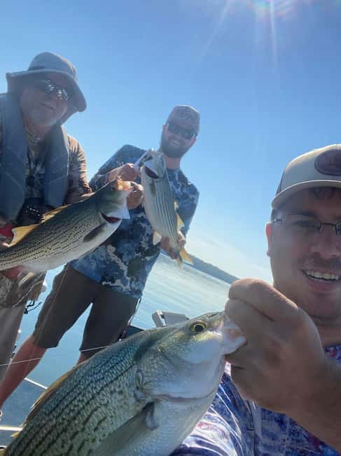 Nashville: Hybrid and Striped Bass Fishing Trip - Key Points