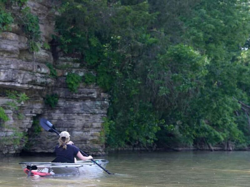 Nashville: Old Hickory Lake Clear Kayak Wildlife Tour - Small-Group Wildlife Viewing in Tennessee’s Waterways