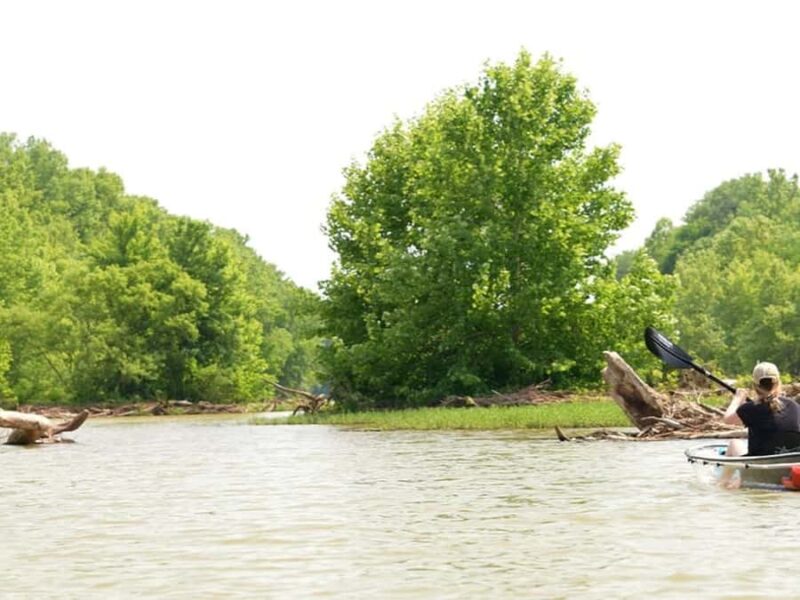 Nashville: Old Hickory Lake Clear Kayak Wildlife Tour - What to Expect During the Guided Paddle
