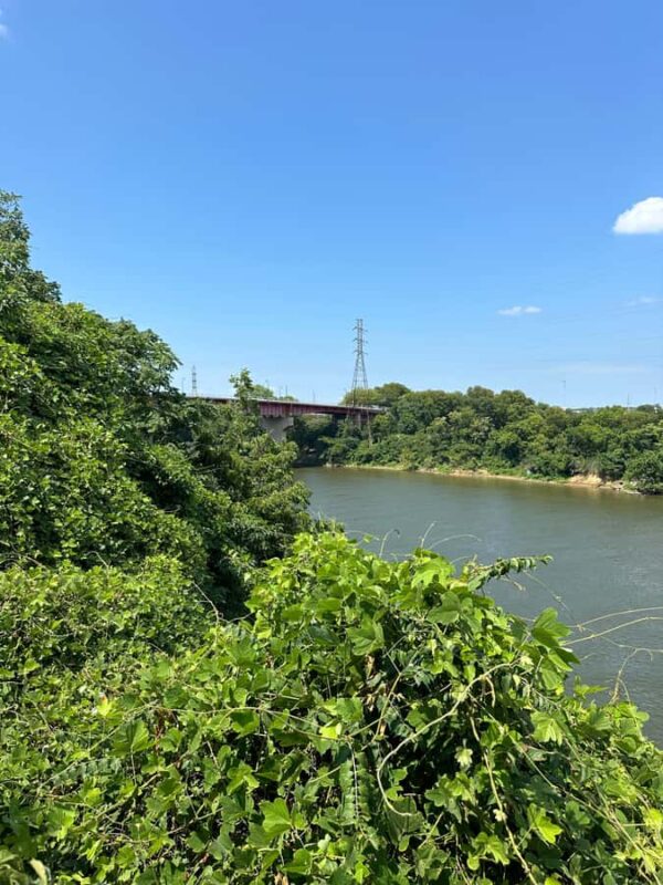 Nashville: True Crime Walking Tour from Mr. E's Crimecast - Why Choose This True Crime Tour in Nashville?