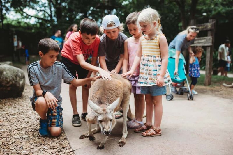 Nashville Zoo: Any-Day Admission Ticket - Discover the Nashville Zoo: A flexible and family-friendly wildlife adventure for $32