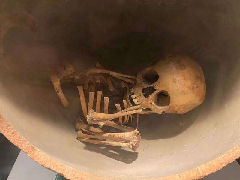 National Museum of Anthropology: A Journey into Mexico's Past-Spanish Language - Key Points