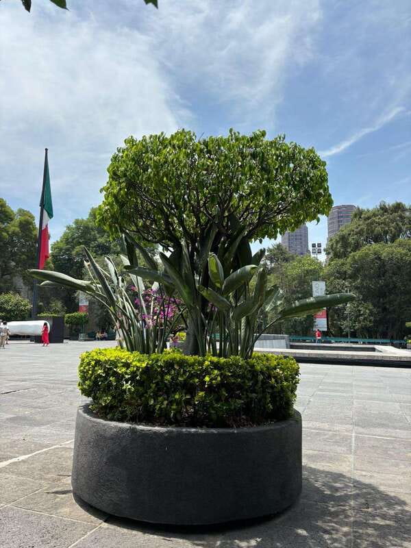 National Museum of Anthropology: A Journey into Mexico's Past-Spanish Language - The Significance of Symbols and Iconography