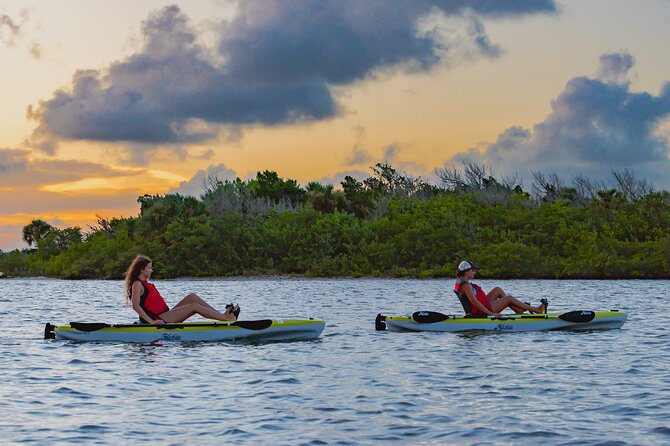 National Park Pedal Kayak Tours in New Smyrna Beach - The Entrance Fee and Park Access
