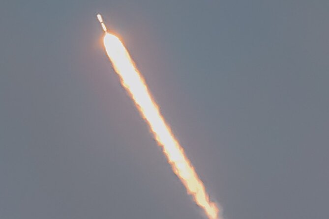 National Park Pedal Kayak Tours in New Smyrna Beach - Flexibility and Cancellation Policy