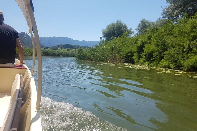 National park Skadar Lake (Private tour) - Comfortable Transportation with Modern Amenities