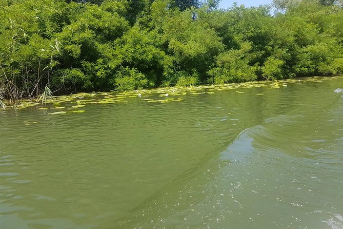 National park Skadar Lake (Private tour) - Practical Details and Booking Tips