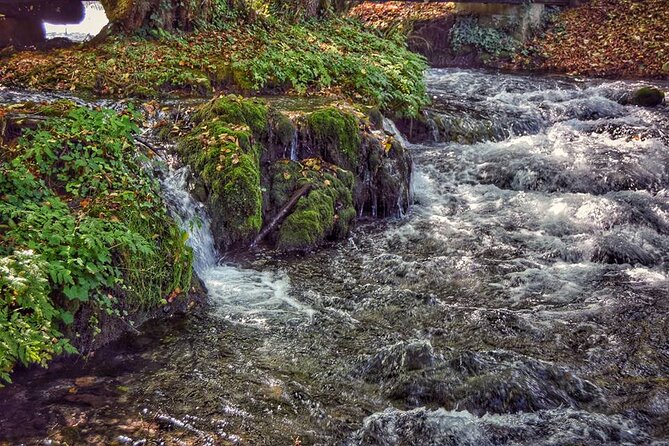 National park Tara - private day tour - Key Points