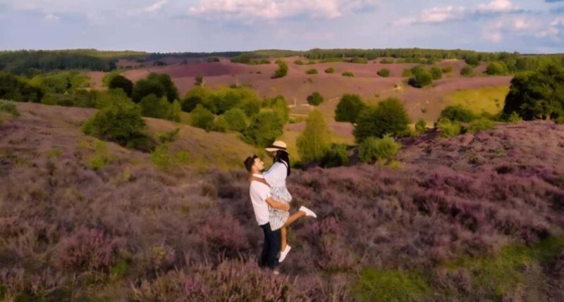 National Park Veluwe Guided Walk with Coffee and Cake - Explore the Veluwe on a Guided Walk with Coffee and Cake