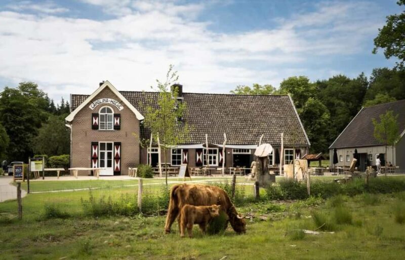 National Park Veluwe Guided Walk with Coffee and Cake - Practical Details and Logistics of the Tour